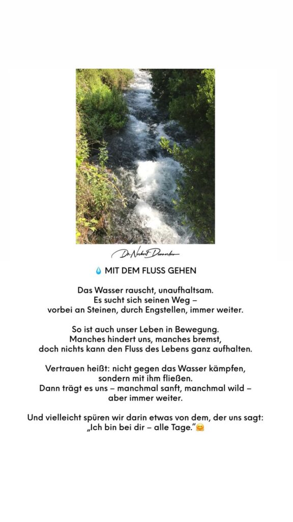 Dr. Norbert Dennerlein: MIT DEM FLUSS GEHEN Das Wasser rauscht, unaufhaltsam