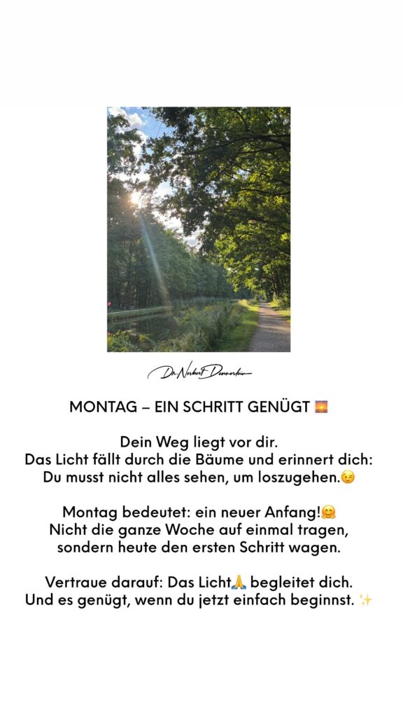 Dr. Norbert Dennerlein: MONTAG - EIN SCHRITT GENÜGT Dein Weg liegt vor dir