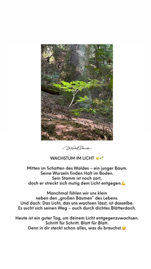 Dr. Norbert Dennerlein: WACHSTUM