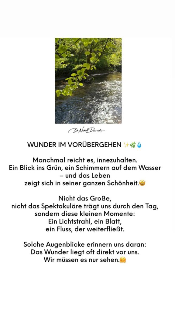 Dr. Norbert Dennerlein: WUNDER