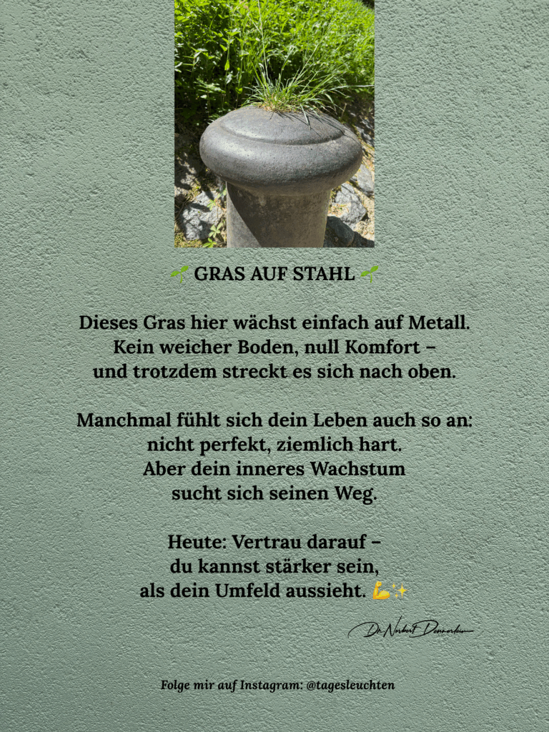 Dr. Norbert Dennerlein: Gras auf Stahl. Dieses Gras hier wächst einfach auf Metall.