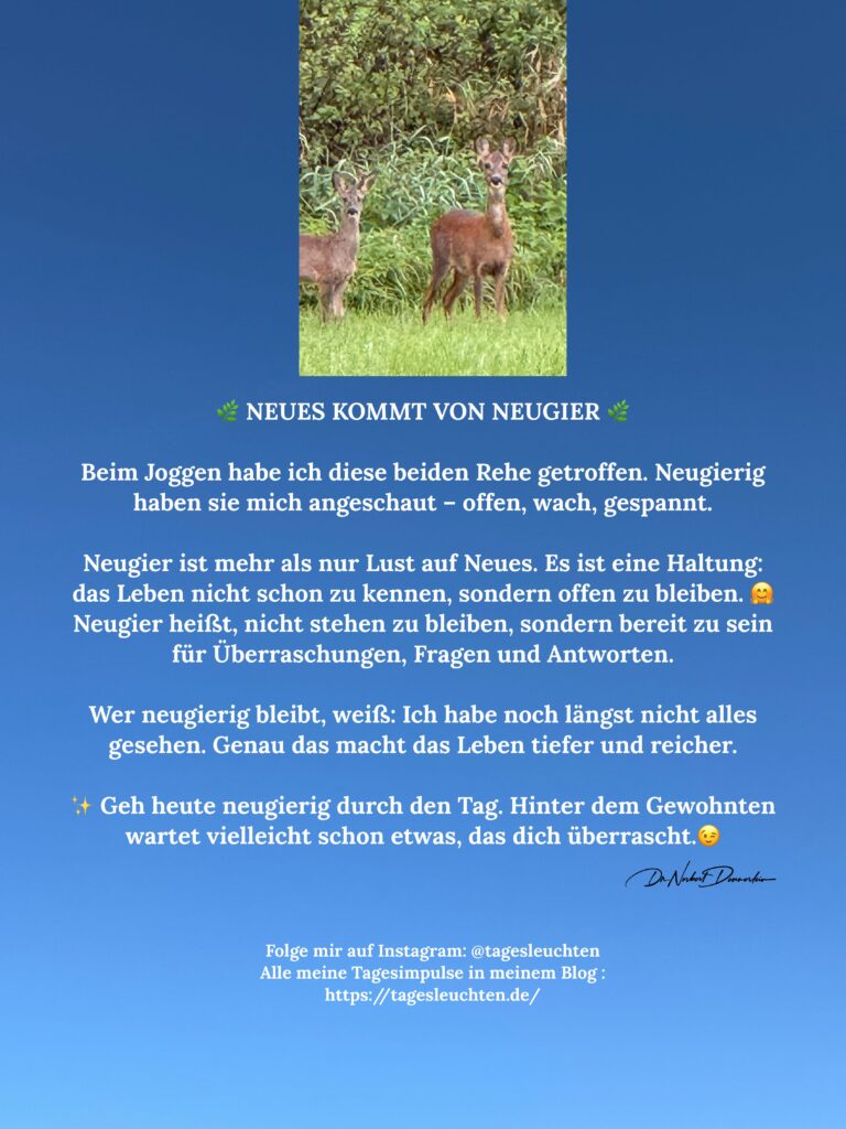 September 2025 - (30): Neues kommt von Neugier. Beim Joggen habe ich diese beiden Rehe getroffen.