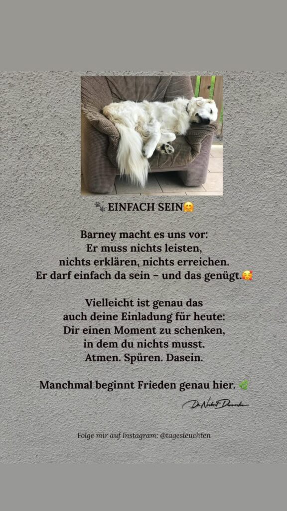 Dr. Norbert Dennerlein: Barney macht es uns vor: Pe BE muss nichts leisten, nichts erklären, nichts erreichen