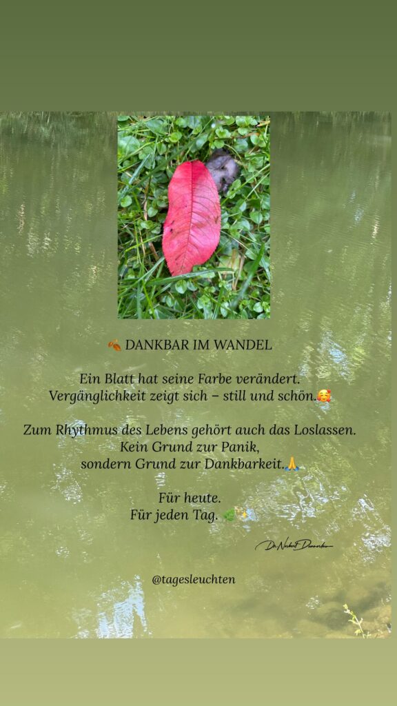 Dr. Norbert Dennerlein: En DANKBAR IM WANDEL Ein Blatt hat seine Farbe verändert