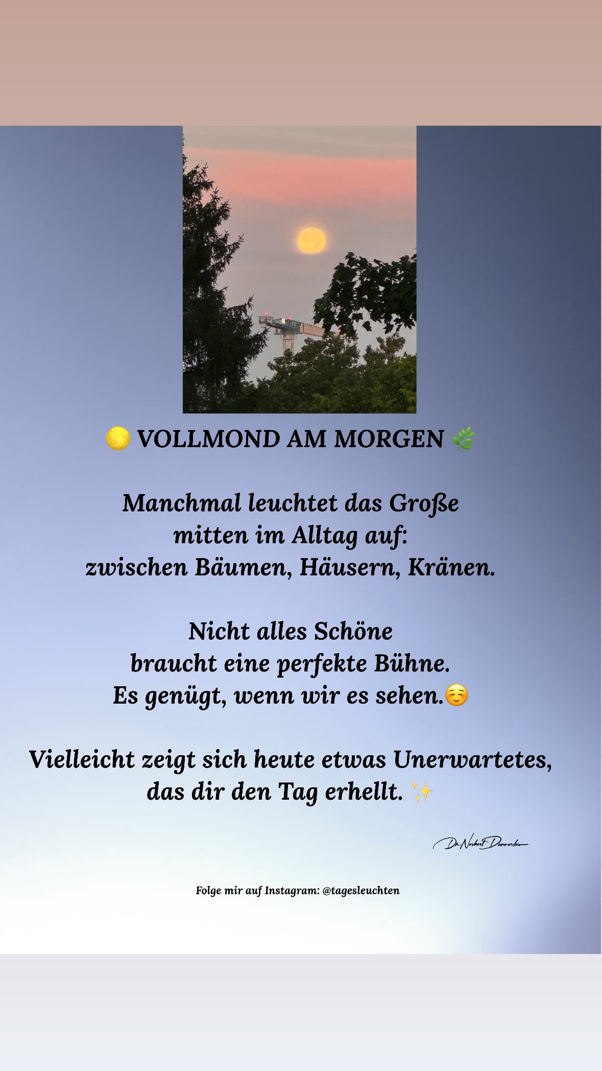 Manchmal leuchtet das G mitten im Alltag auf: zwischen Bäumen, Häusern, Krä Nicht alles