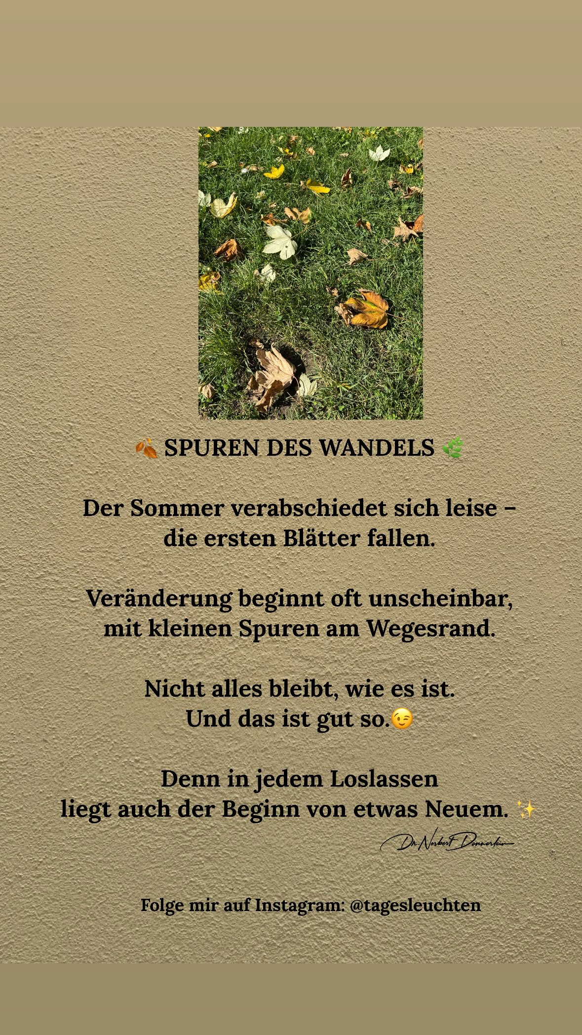 Om SPUREN DES WANDELS « Der Sommer abend sich leise - : die ersten