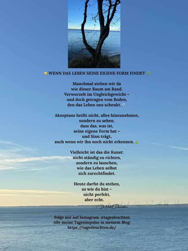Dr. Norbert Dennerlein: Wenn das Leben seine eigene Form findet. Manchmal stehen wir da wie dieser Baum am Rand.