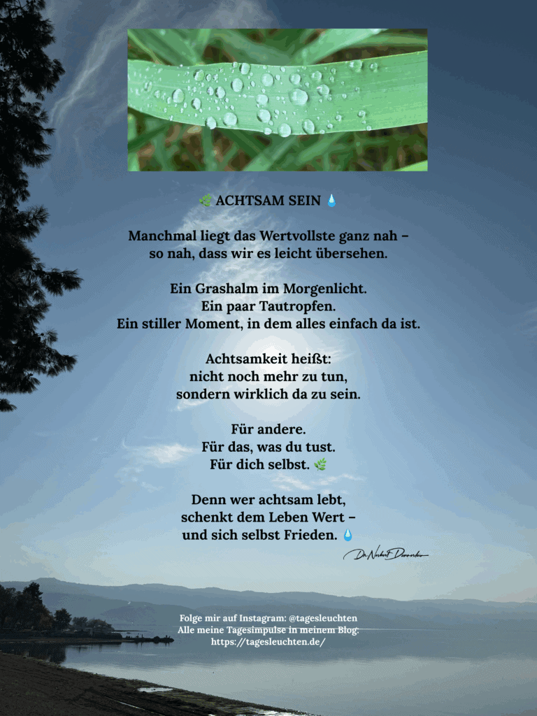 Dr. Norbert Dennerlein: Achtsam sein. Manchmal liegt das Wertvollste ganz nah - so nah, dass wir es leicht übersehen.