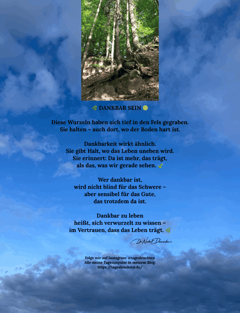 Dr. Norbert Dennerlein: Dankbar sein. Diese Wurzeln haben sich tief in den Fels gegraben