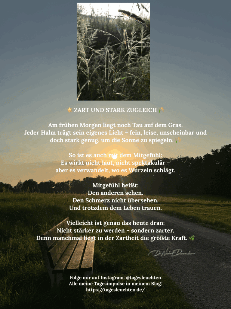 Dr. Norbert Dennerlein: Zart und stark zugleich. Am frühen Morgen liegt noch Tau