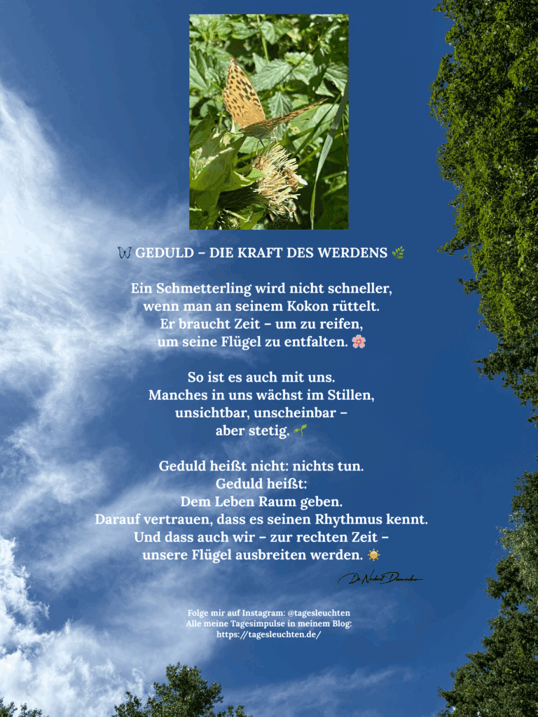Dr. Norbert Dennerlein: Geduld - die Kraft des Werdens. Ein Schmetterling wird nicht schneller, wenn man an seinem Kokon rüttelt.