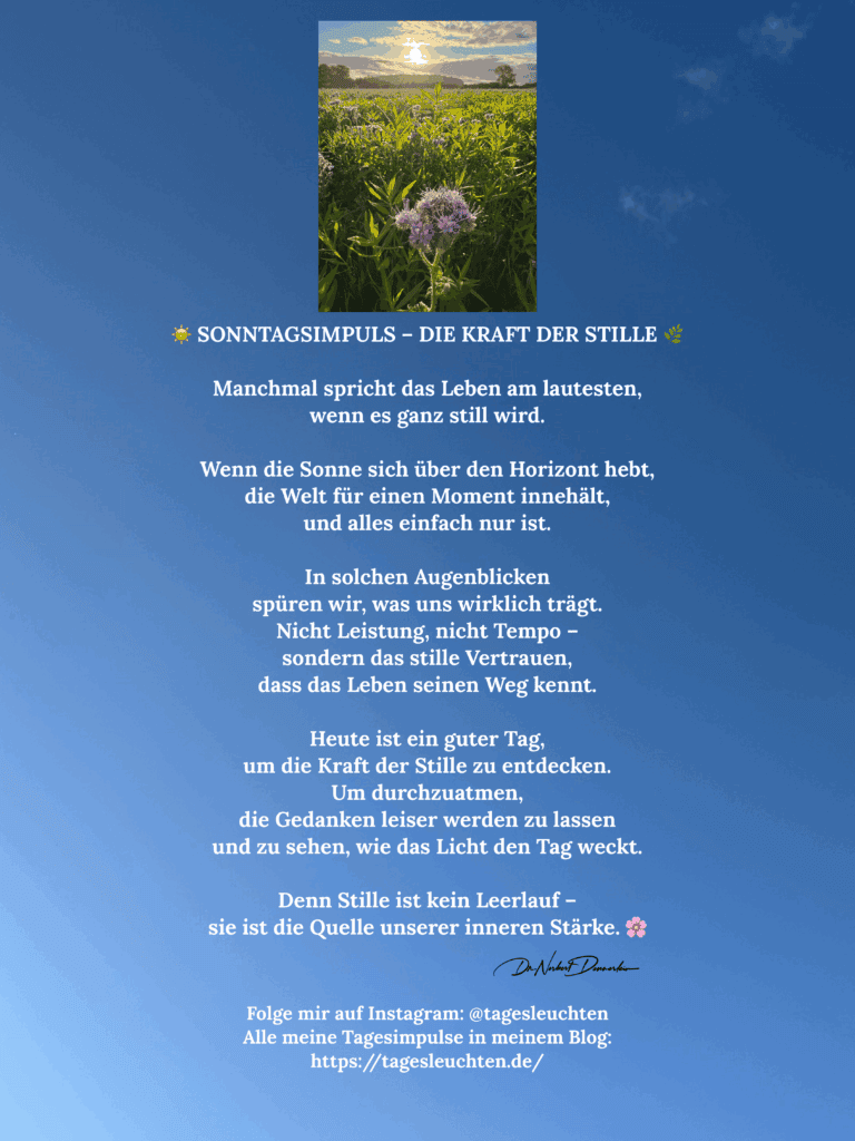 Dr. Norbert Dennerlein: Sonntagsimpuls - Die Kraft der Stille