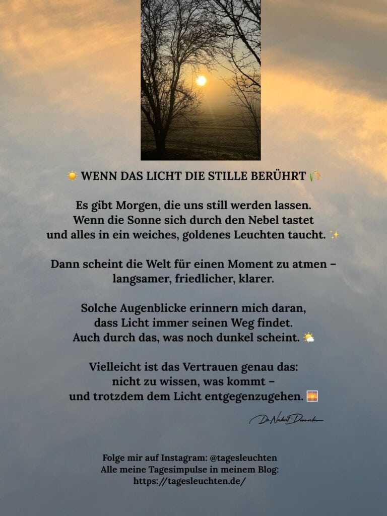 Dr. Norbert Dennerlein: Wenn das Licht die Stille berührt. Es gibt Morgen, die uns still werden lassen.