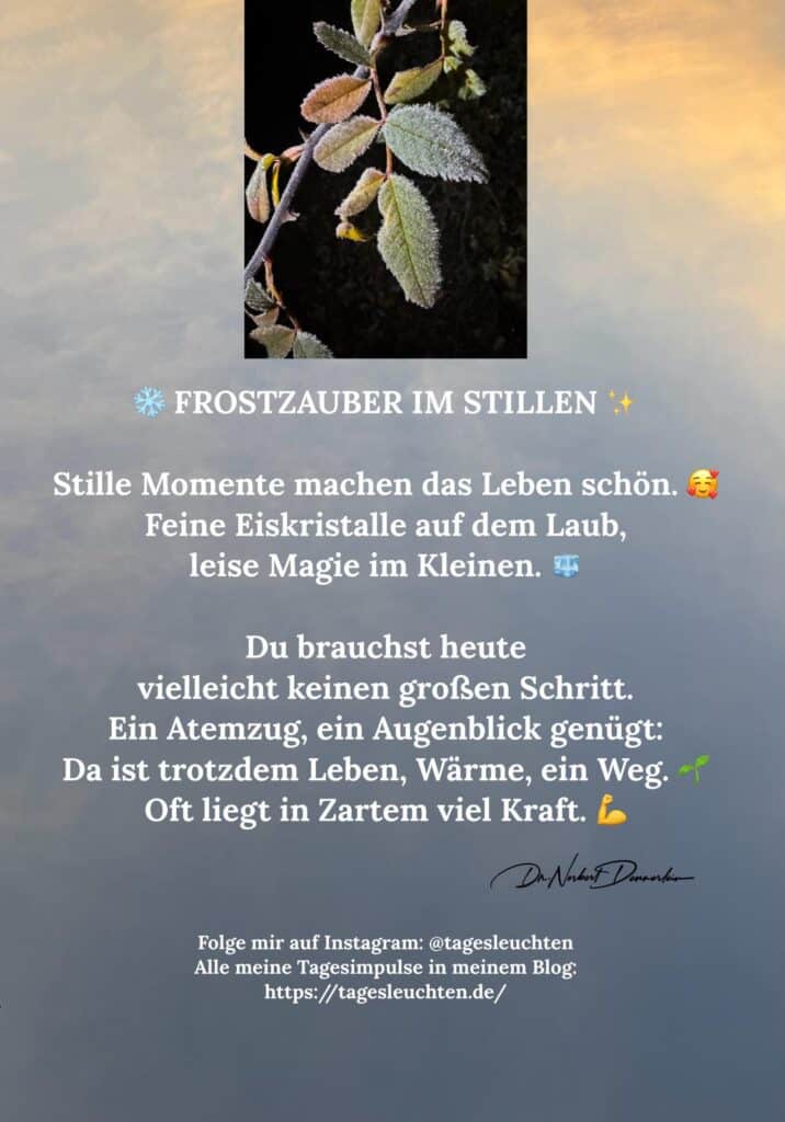 Dr. Norbert Dennerlein: Frostzauber im Stillen. Stille Momente machen das Leben schön. Feine Eiskristalle auf dem Laub, leise Magie im Kleinen.