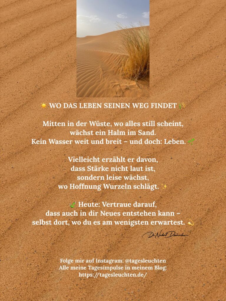 Dr. Norbert Dennerlein: Wo das Leben seinen Weg findet. Mitten in der Wüste, wo alles still scheint, wächst ein Halm im Sand.