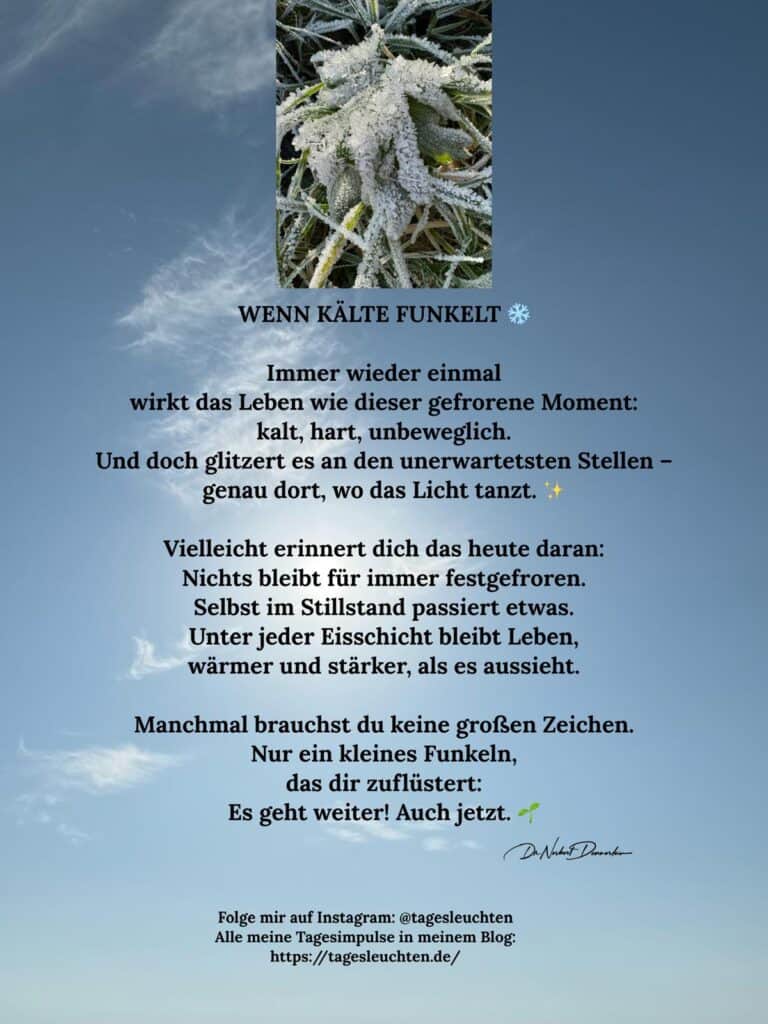 Dr. Norbert Dennerlein: WENN KÄLTE FUNKELT. Immer wieder einmal wirkt das Leben wie dieser gefrorene Moment