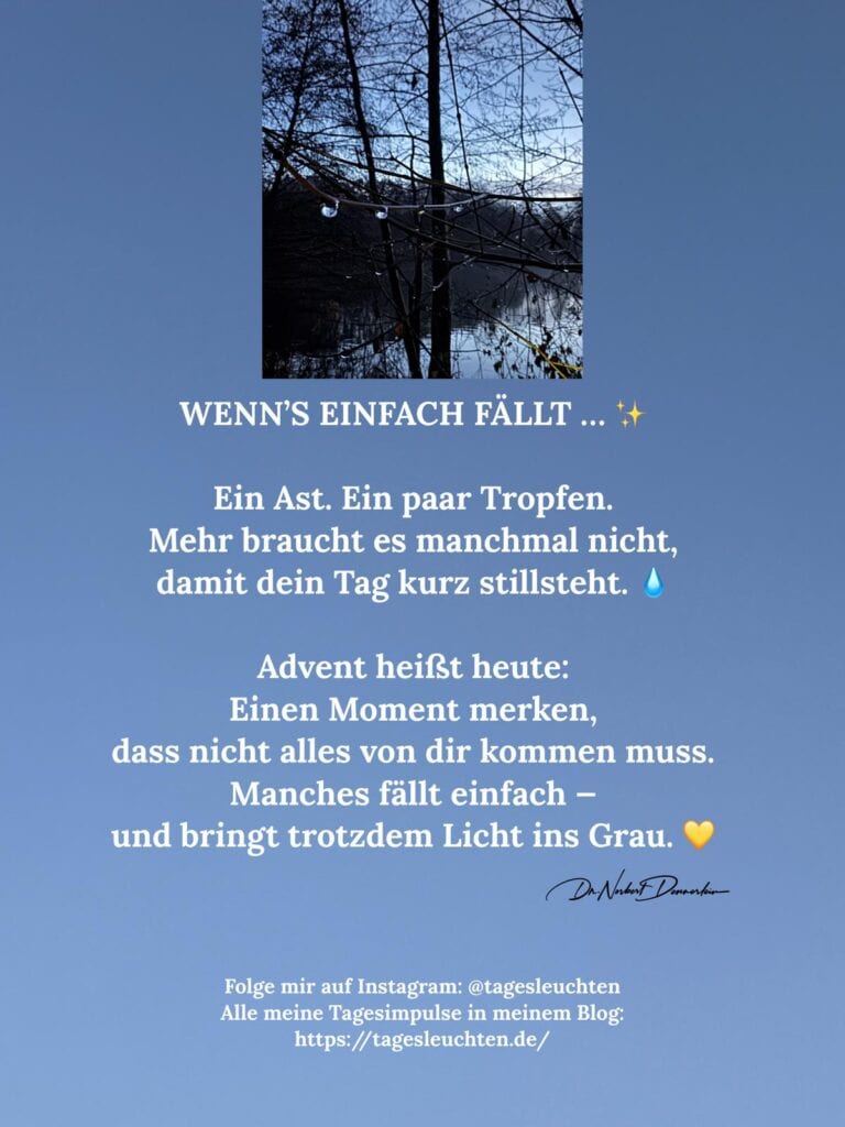 Dr. Norbert Dennerlein: WENN‘S EINFACH FÄLLT… Ein Ast. Ein paar Tropfen. Mehr braucht es manchmal nicht, damit dein Tag kurz stillsteht