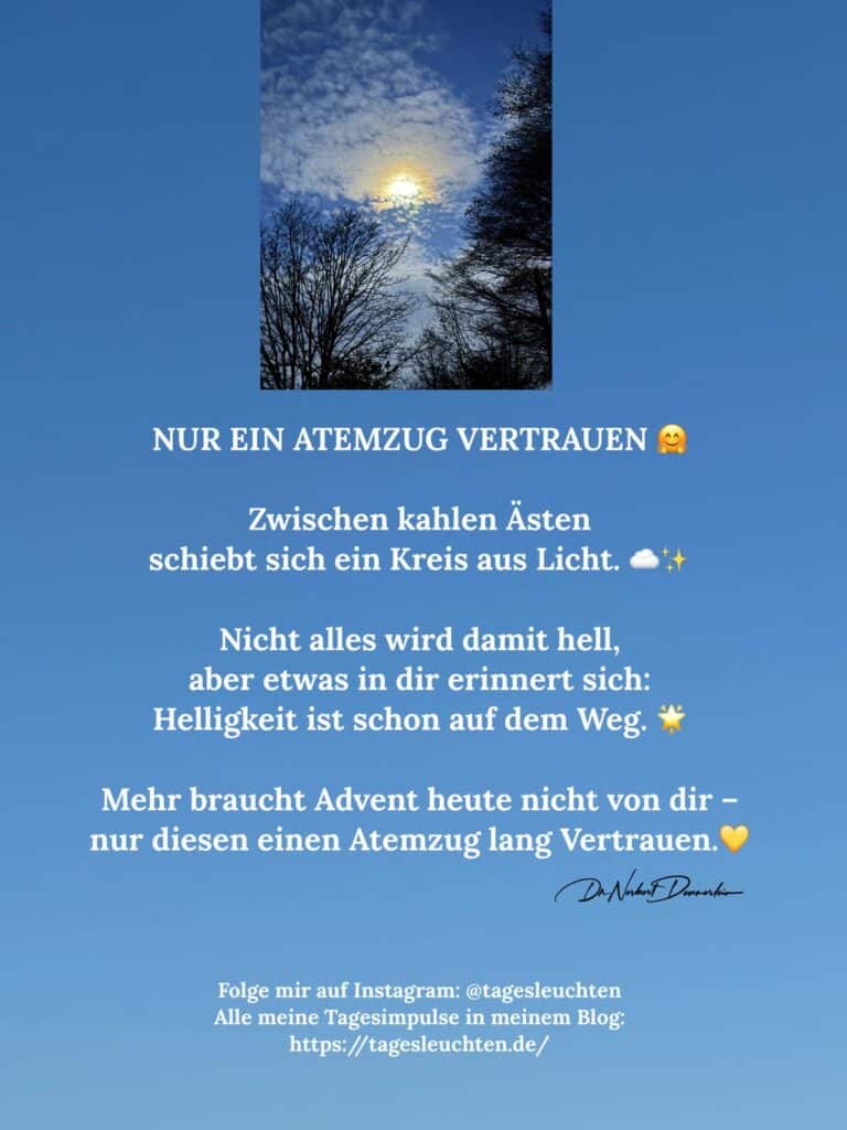Dr. Norbert Dennerlein: NUR EIN ATEMZUG VERTRAUEN. Zwischen kahlen Ästen schiebt sich ein Kreis aus Licht