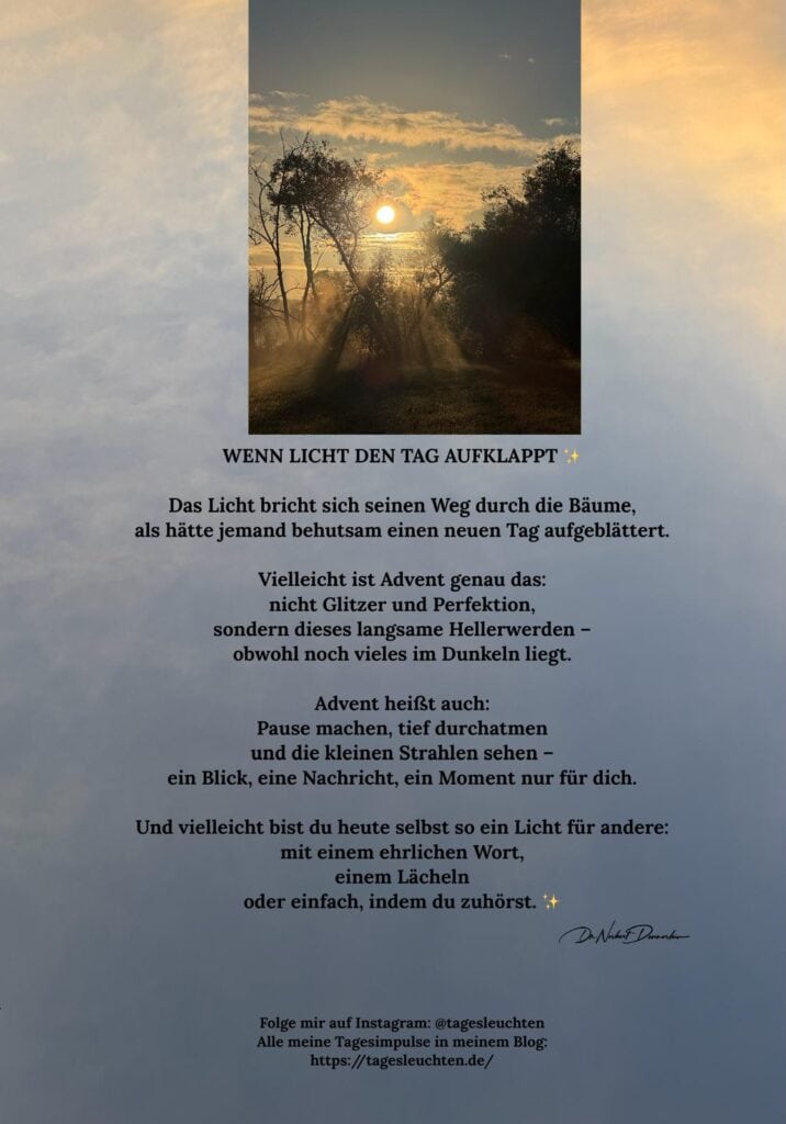 Dr. Norbert Dennerlein: WENN LICHT DEN TAG AUFKLAPPT. Das Licht bricht sich seinen Weg durch die Bäume