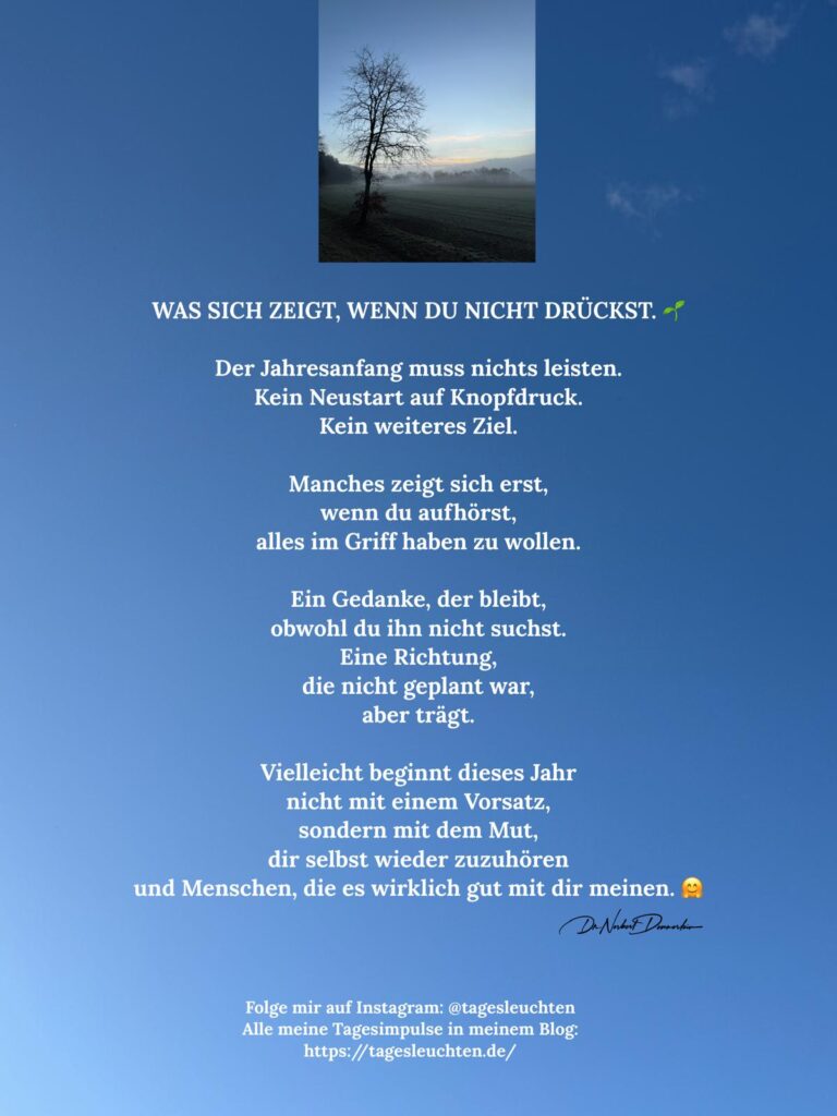 Dr. Norbert Dennerlein: WAS SICH ZEIGT, WENN DU NICHT DRÜCKST