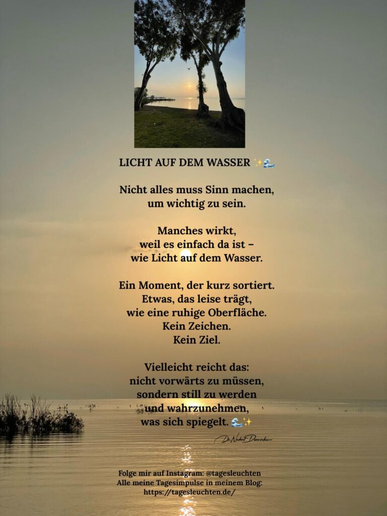 Dr. Norbert Dennerlein: LICHT AUF DEM WASSER. Nicht alles muss Sinn machen, um wichtig zu sein.