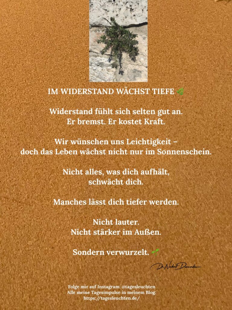 Dr. Norbert Dennerlein: Januar 2026 - (31): IM WIDERSTAND WÄCHST TIEFE. Widerstand fühlt sich selten gut an. Es bremst. Es kostet Kraft.
