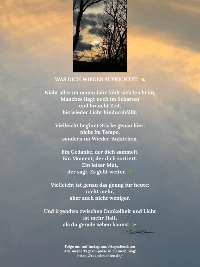 Dr. Norbert Dennerlein: WAS DICH WIEDER AUFRICHTET. Nicht alles im neuen Jahr fühlt sich leicht an.