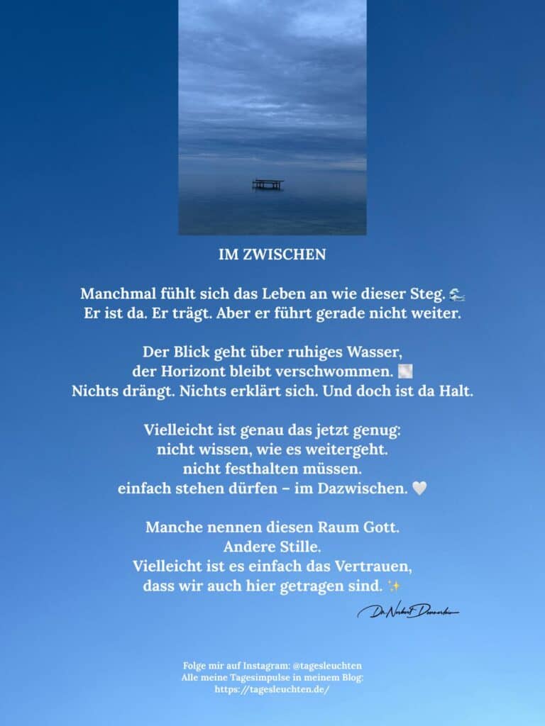 Dr. Norbert Dennerlein: IM ZWISCHEN. Manchmal fügst sich das Leben ab wie dieser Steg