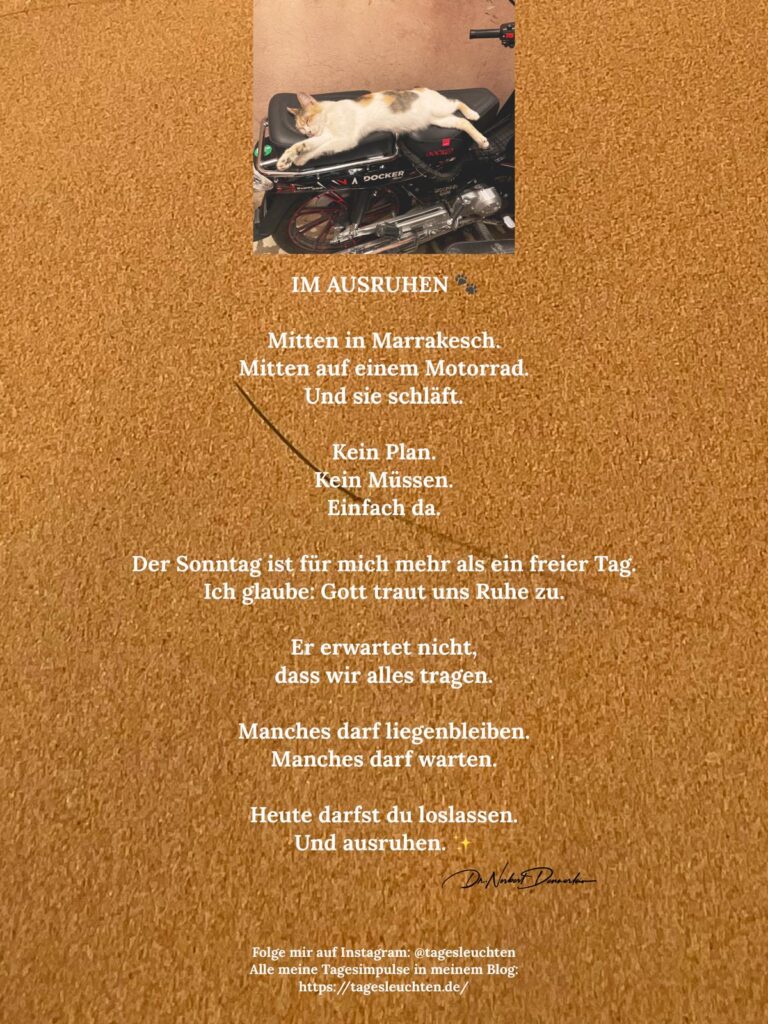 Dr. Norbert Dennerlein: IM AUSRUHEN. Mitten in Marrakesch. Mitten auf einem Motorrad.