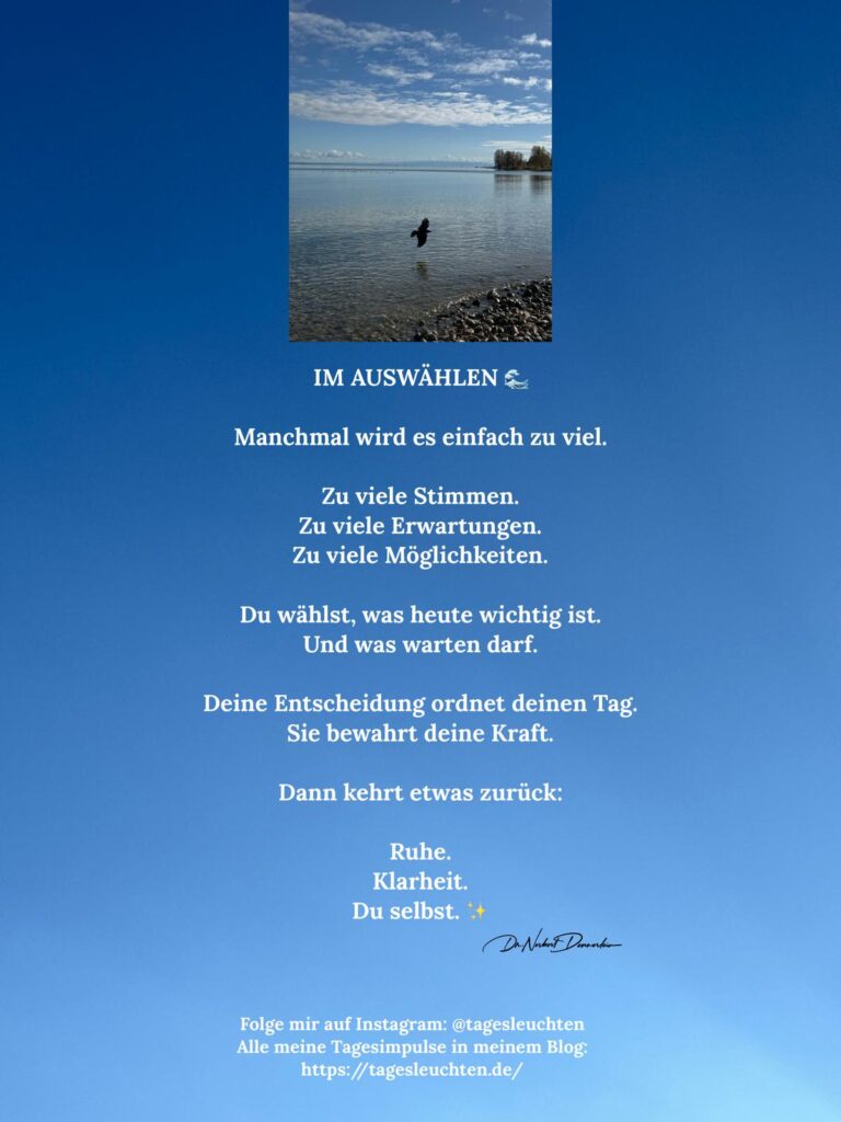 IM AUSWÄHLEN. Manchmal wird es einfach zu viel.