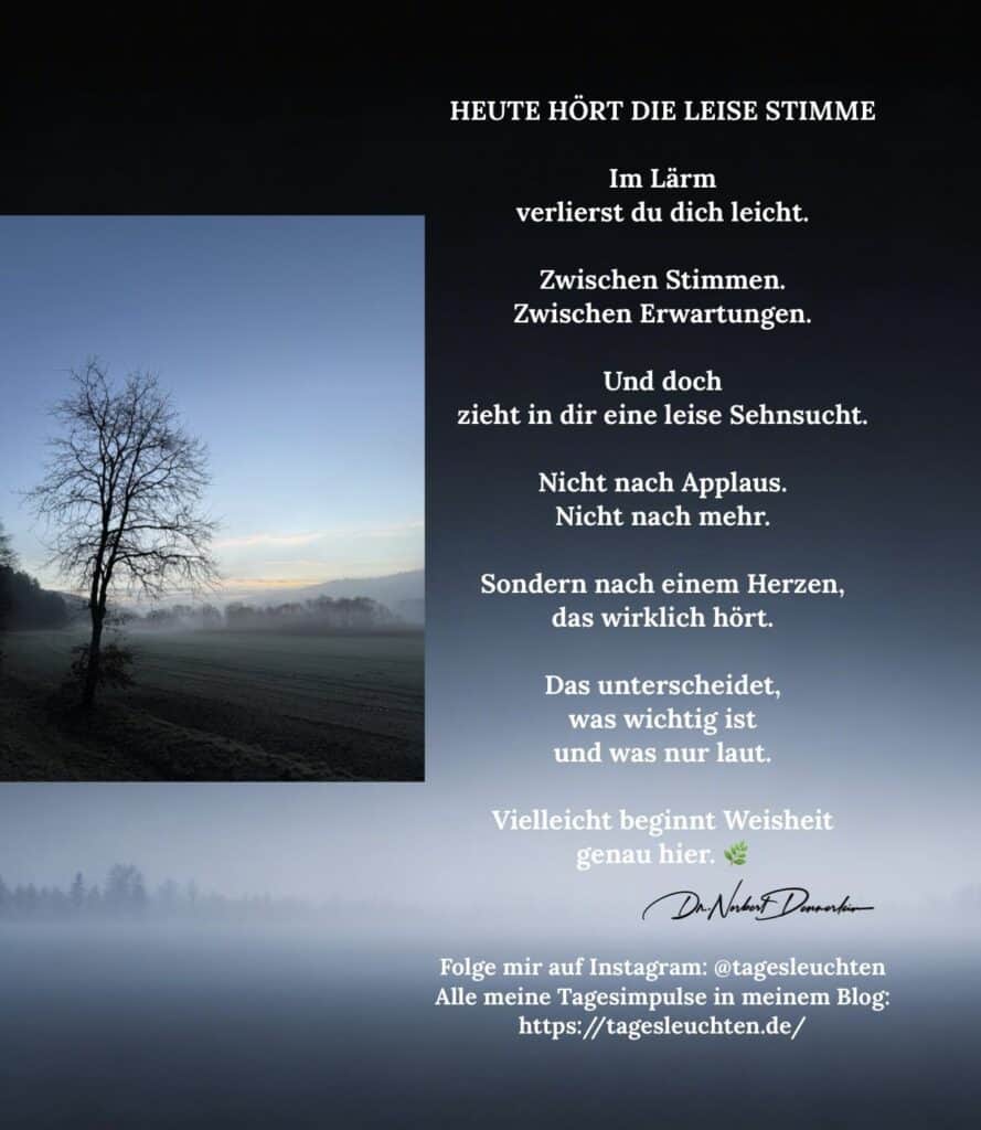 Dr. Norbert Dennerlein: HEUTE HÖRT DIE LEISE STIMME. Im Lärm verlierst du dich leicht.