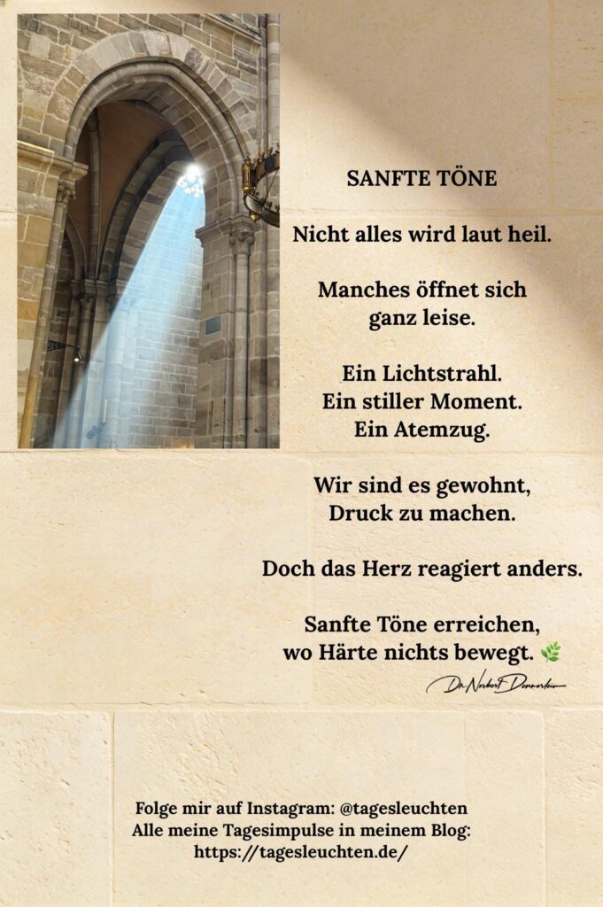 Dr. Norbert Dennerlein: SANFTE TÖNE. Nicht alles wird laut heil.