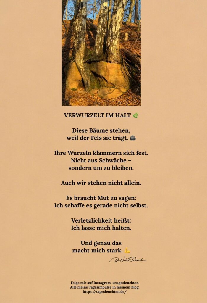 Dr. Norbert Dennerlein: VERWURZELT IM HALT. Diese Bäume stehen, weil der Fels sie trägt