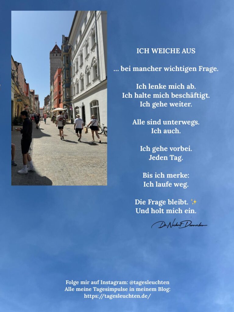 Dr. Norbert Dennerlein: ICH WEICHE AUS… bei mancher wichtigen Frage.