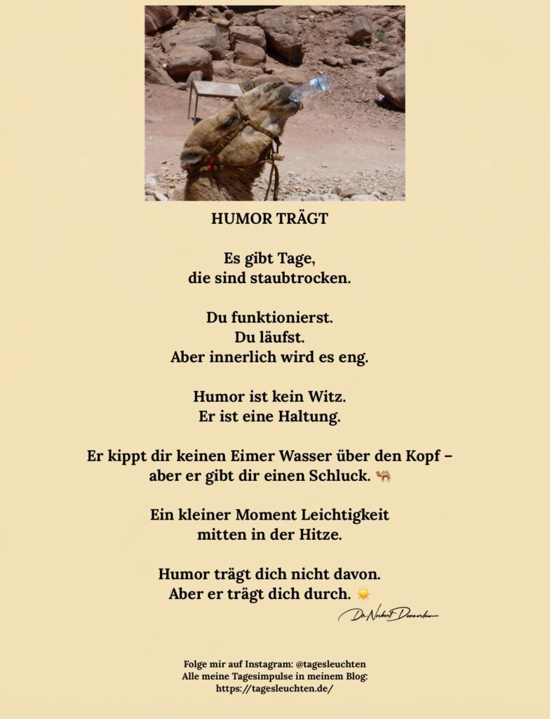 Dr. Norbert Dennerlein: HUMOR TRÄGT. Es gibt Tage, die sind staubtrocken. Du funktionierst.