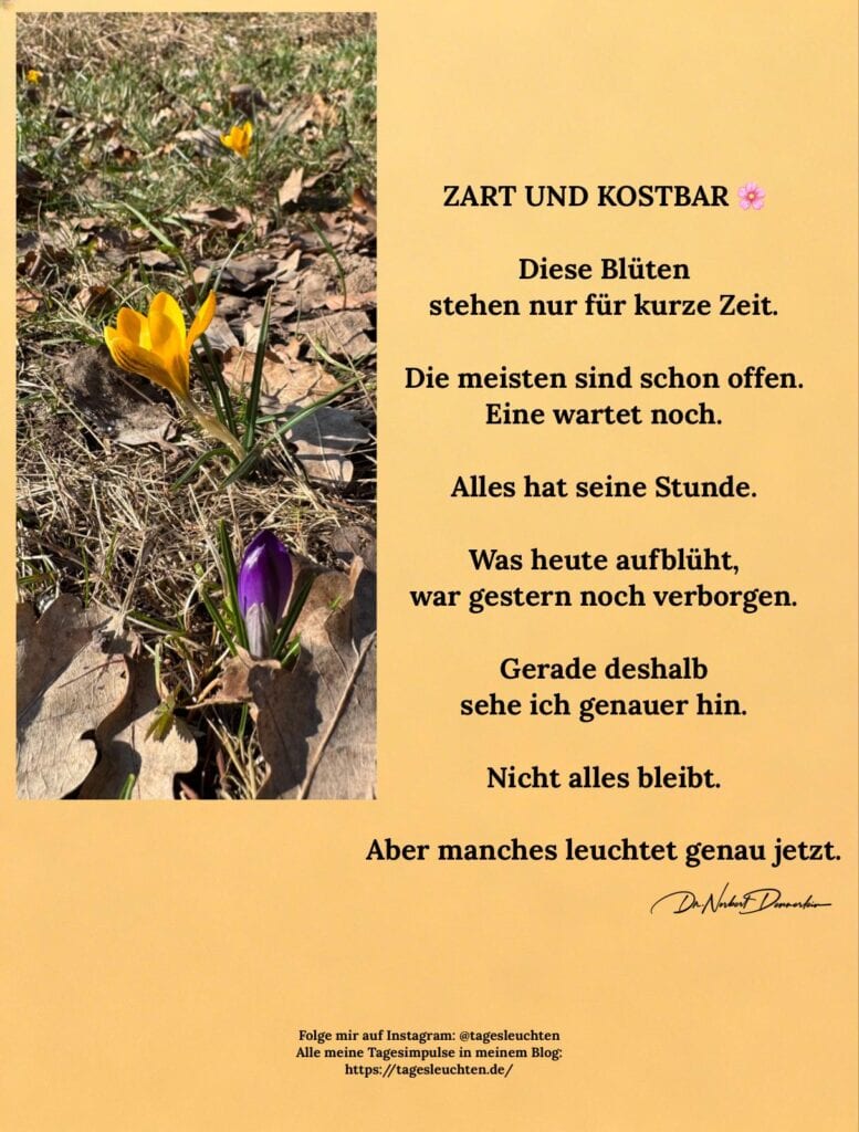 Dr. Norbert Dennerlein: ZART UND KOSTBAR. Diese Blüten stehen nur kurze Zeit.