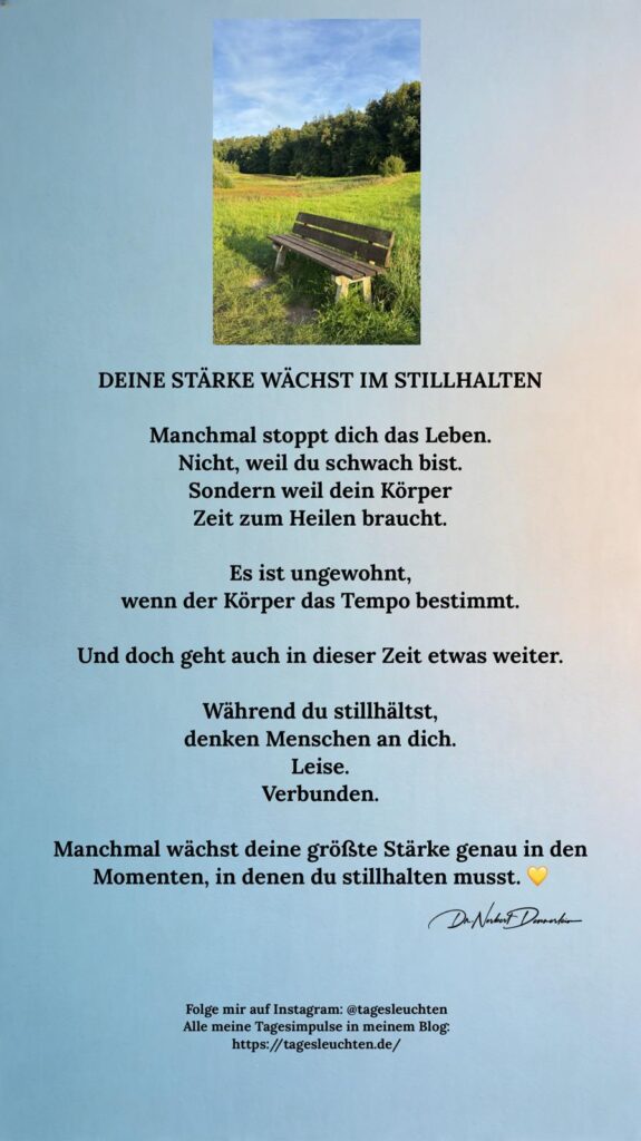 Dr. Norbert Dennerlein: DEINE STÄRKE WÄCHST IM STILLHALTEN. Manchmal stoppt dich das Leben