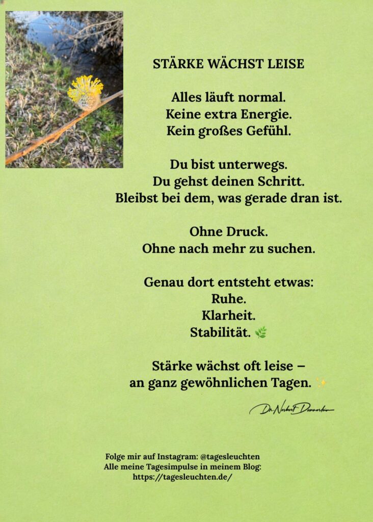 Dr. Norbert Dennerlein: STÄRKE WÄCHST LEISE. Alles läuft normal. Keine extra Energie. Kein großes Gefühl