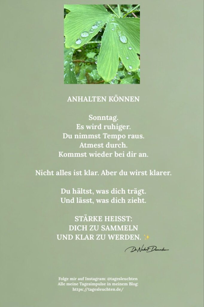 Dr. Norbert Dennerlein: ANHALTEN KÖNNEN. Sonntag. Es wird ruhiger