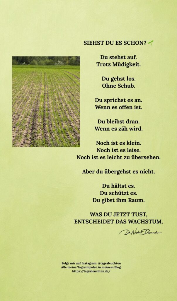 Dr. Norbert Dennerlein: SIEHST DU ES SCHON? Du stehst auf. Trotz Müdigkeit