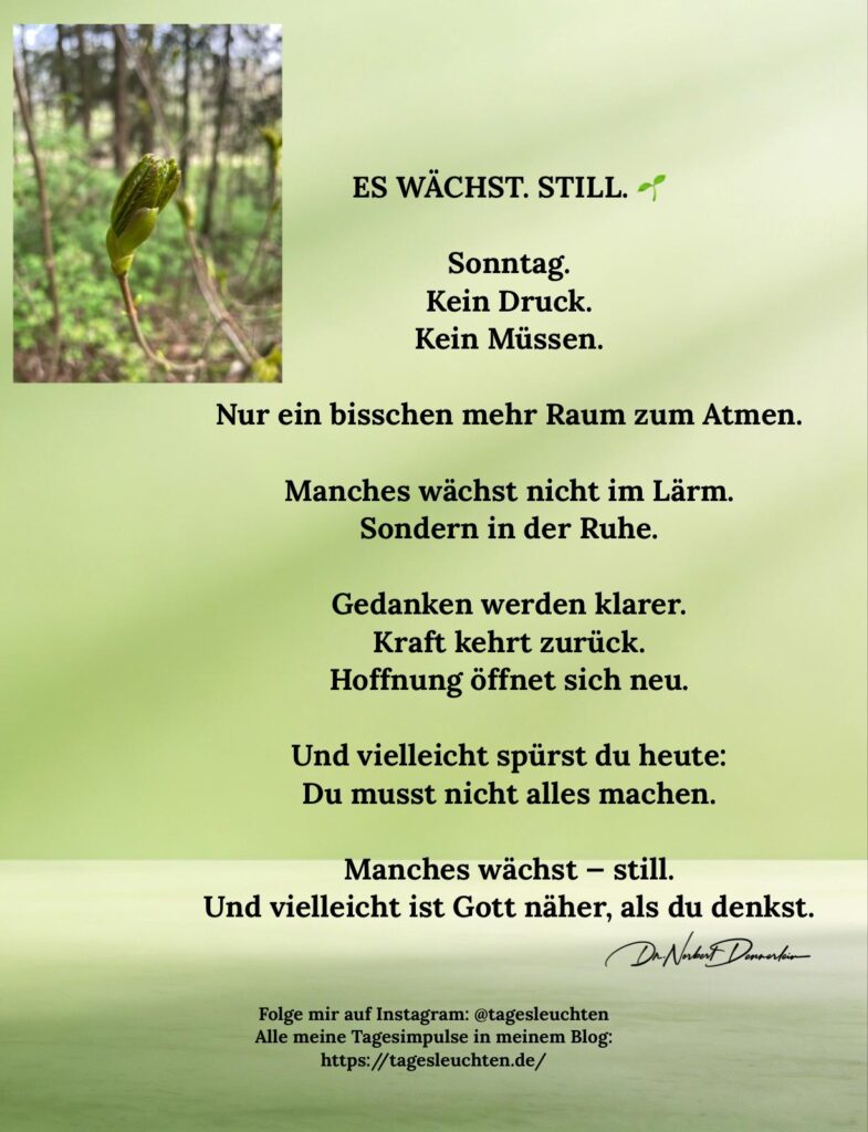 Dr. Norbert Dennerlein: ES WÄCHST. STILL. Sonntag. Kein Druck. Kein Müssen.