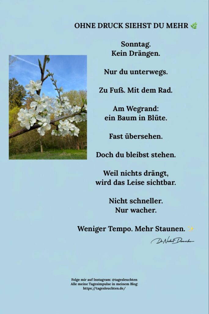 Dr. Norbert Dennerlein: OHNE DRUCK SIEHST DU MEHR. Sonntag. Kein Drängen