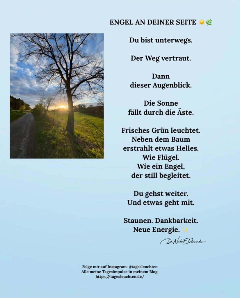 Dr. Norbert Dennerlein: ENGEL AN DEINER SEITE. Du bist unterwegs. Der Weg vertraut