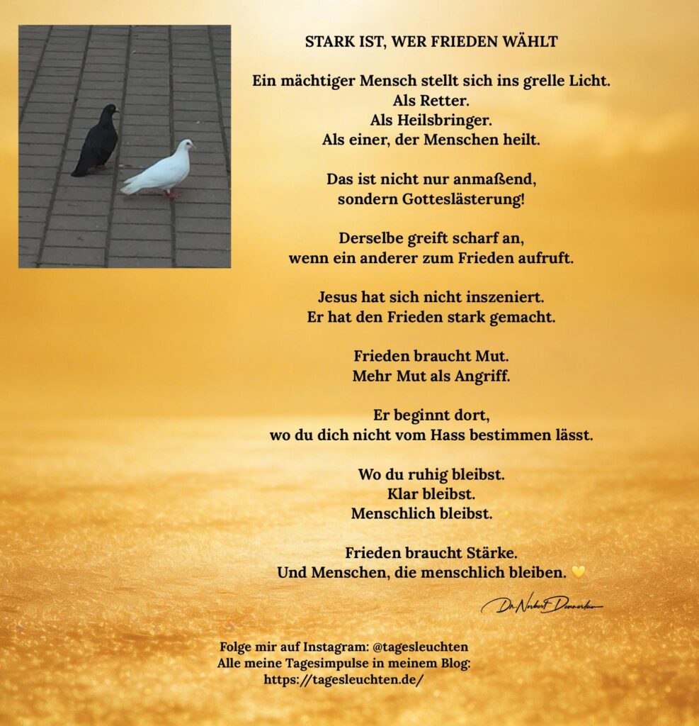 Dr. Norbert Dennerlein. STARK IST, WER FRIEDEN WÄHLT. Ein mächtiger Mann stellt sich ins grelle Licht