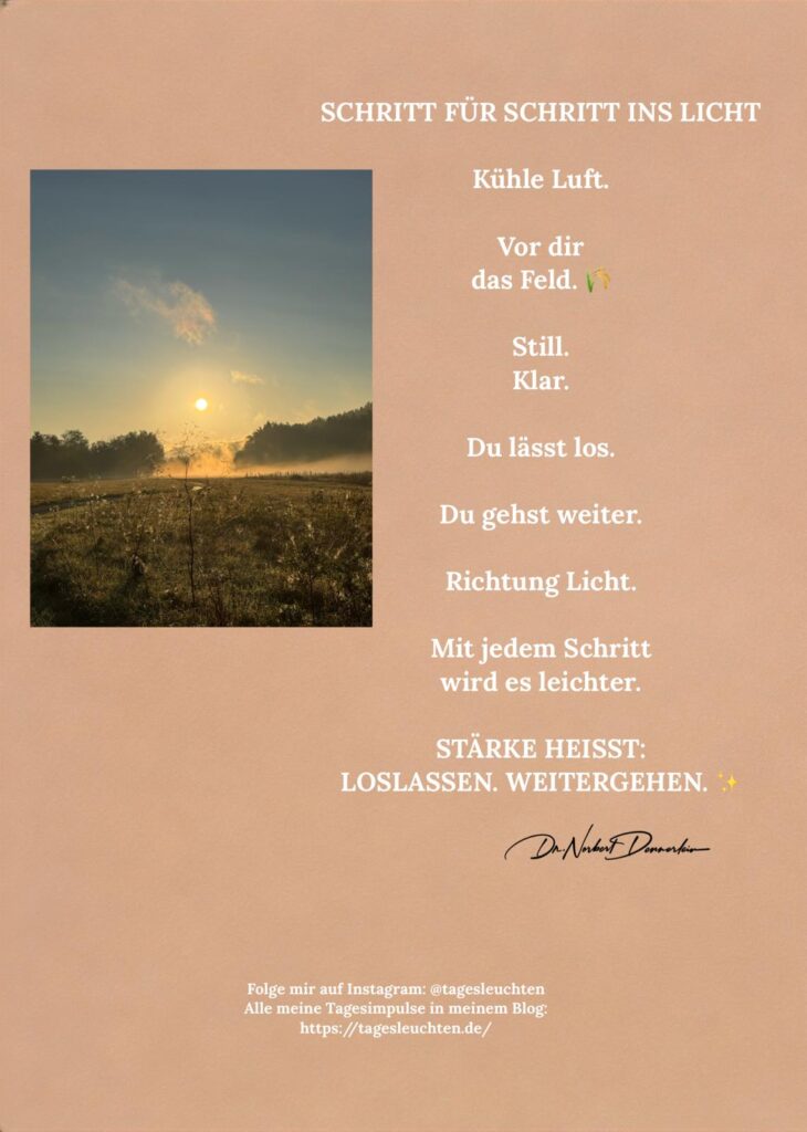Dr. Norbert Dennerlein: SCHRITT FÜR SCHRITT INS LICHT