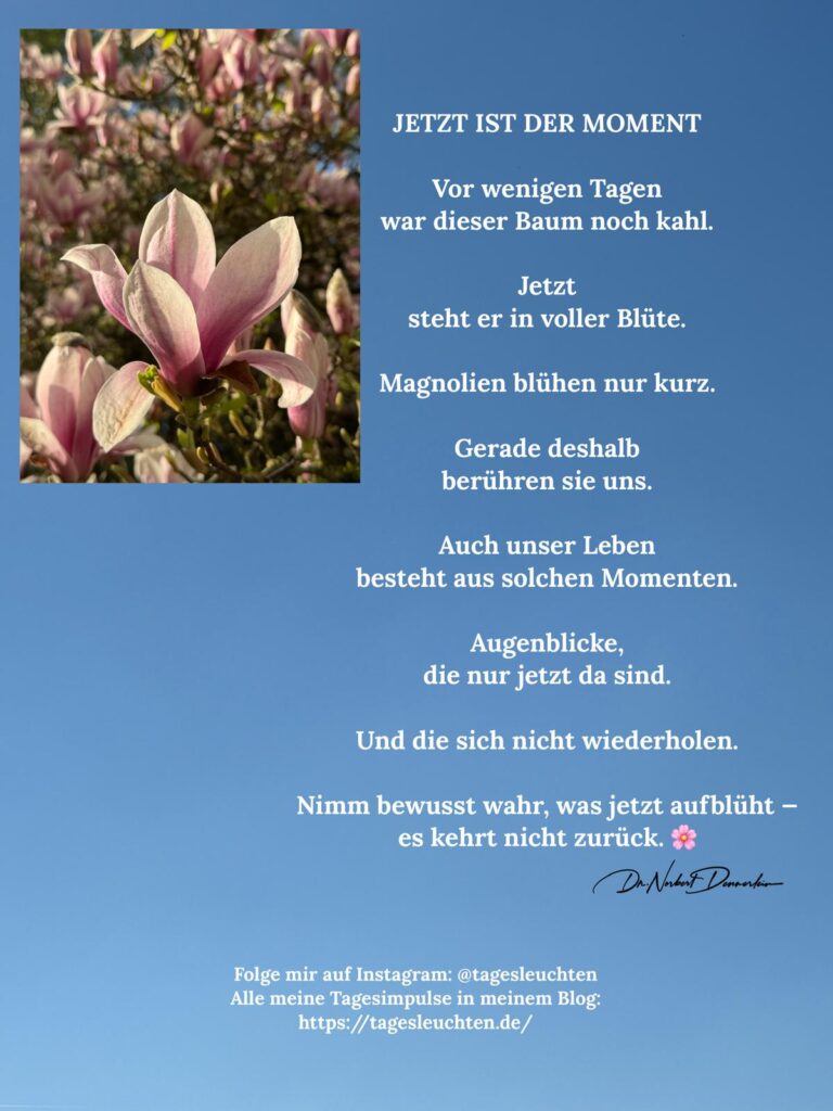 Dr. Norbert Dennerlein: JETZT IST DER MOMENT. Vor wenigen Tagen war dieser Baum noch kahl