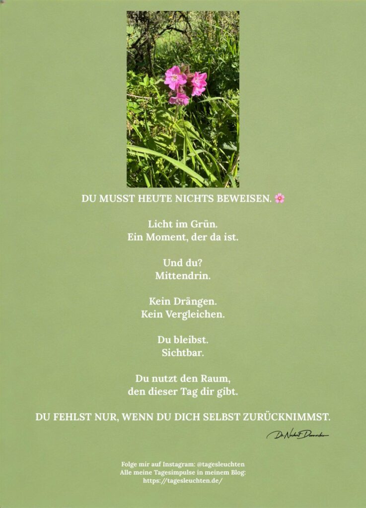 DU MUSST HEUTE NICHTS BEWEISEN. Licht im Grün. Ein Moment, der da ist