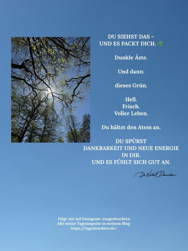 Dr. Norbert Dennerlein: DU SIEHST DAS - UND ES PACKT DICH. Single Äste. Und dann: dieses Grün.