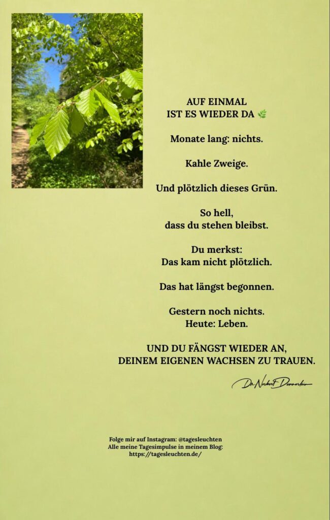Dr. Norbert Dennerlein: AUF EINMAL IST ES WIEDER DA. Monate lang: nichts. Kahle Zweige