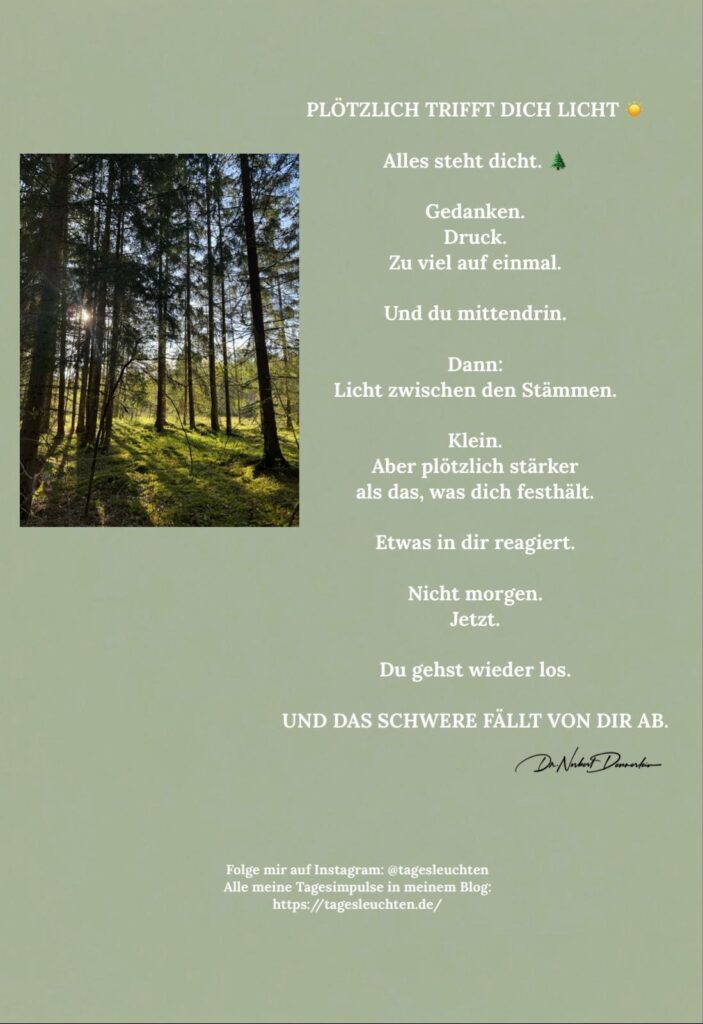 Dr. Norbert Dennerlein: PLÖTZLICH TRIFFT DICH LICHT. Alles steht dicht. Gedanken. Druck. Zu viel auf einmal